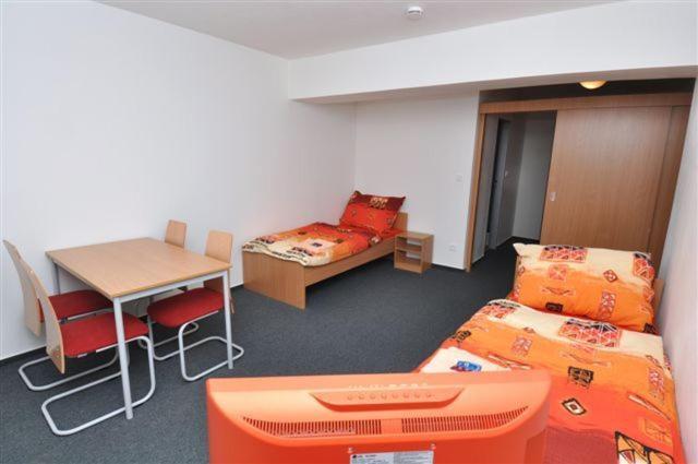 Sport Hotel Ticha Orlice Usti nad Orlici Bilik gambar