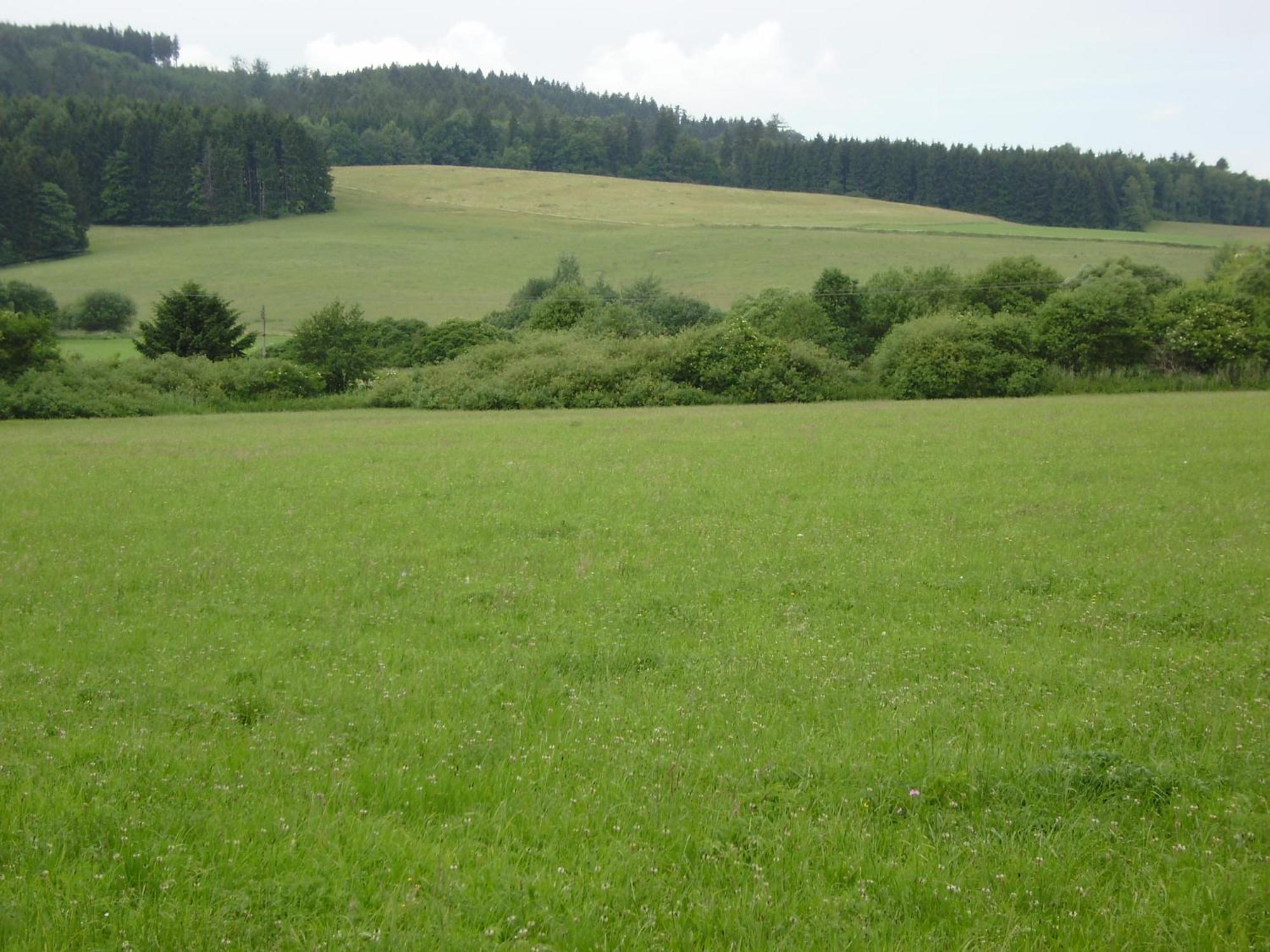 Sport Hotel Ticha Orlice Usti nad Orlici Luaran gambar